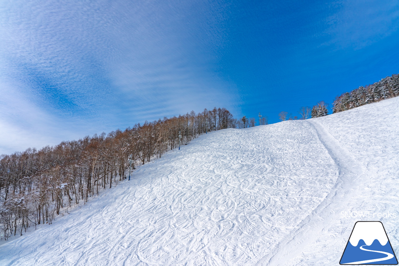 札幌藻岩山スキー場｜ふわっふわの粉雪シーズン到来！思いっきり多彩なコースを楽しみましょう！